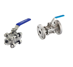 Amolee Valves